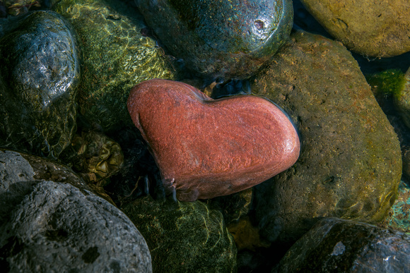 Heart Rock in Sacramento River