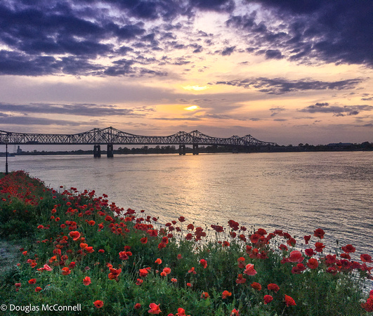 Natchez-0311.jpg